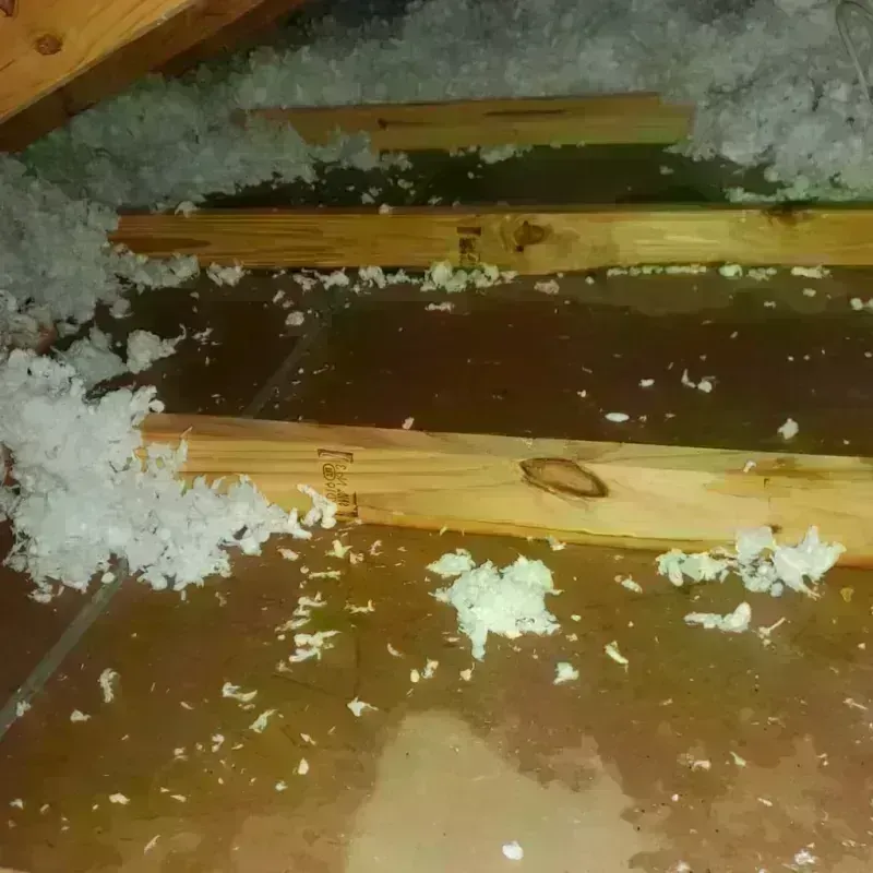 Best Attic Water Damage Service in Philadelphia, MS