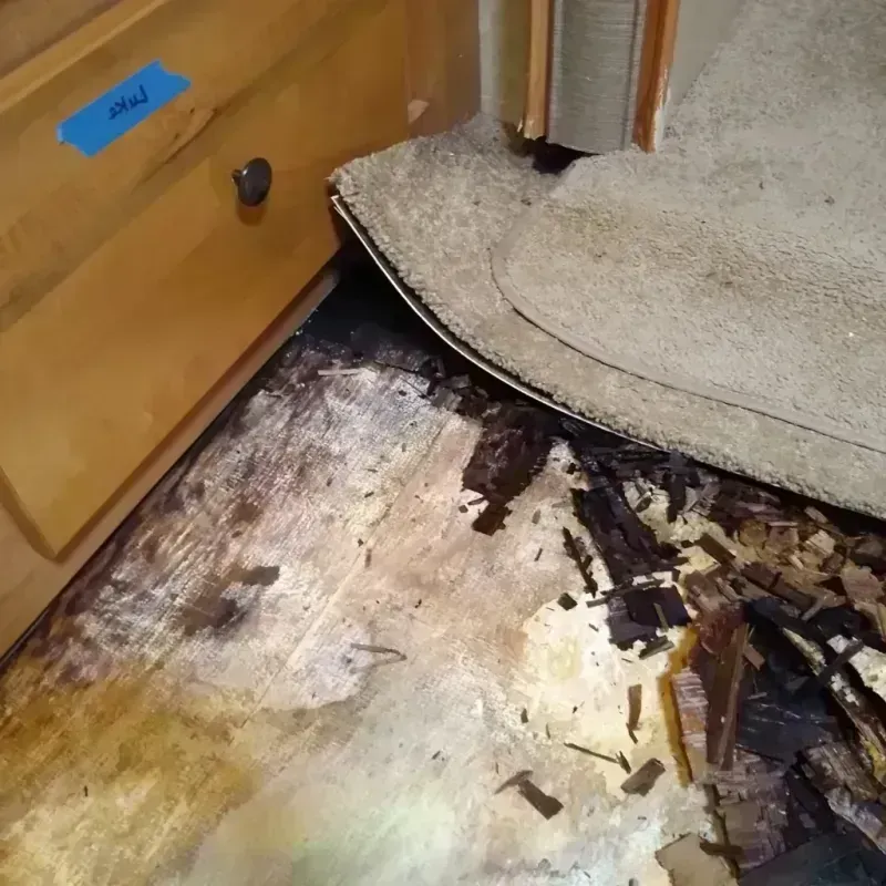 Best Wood Floor Water Damage Service in Philadelphia, MS